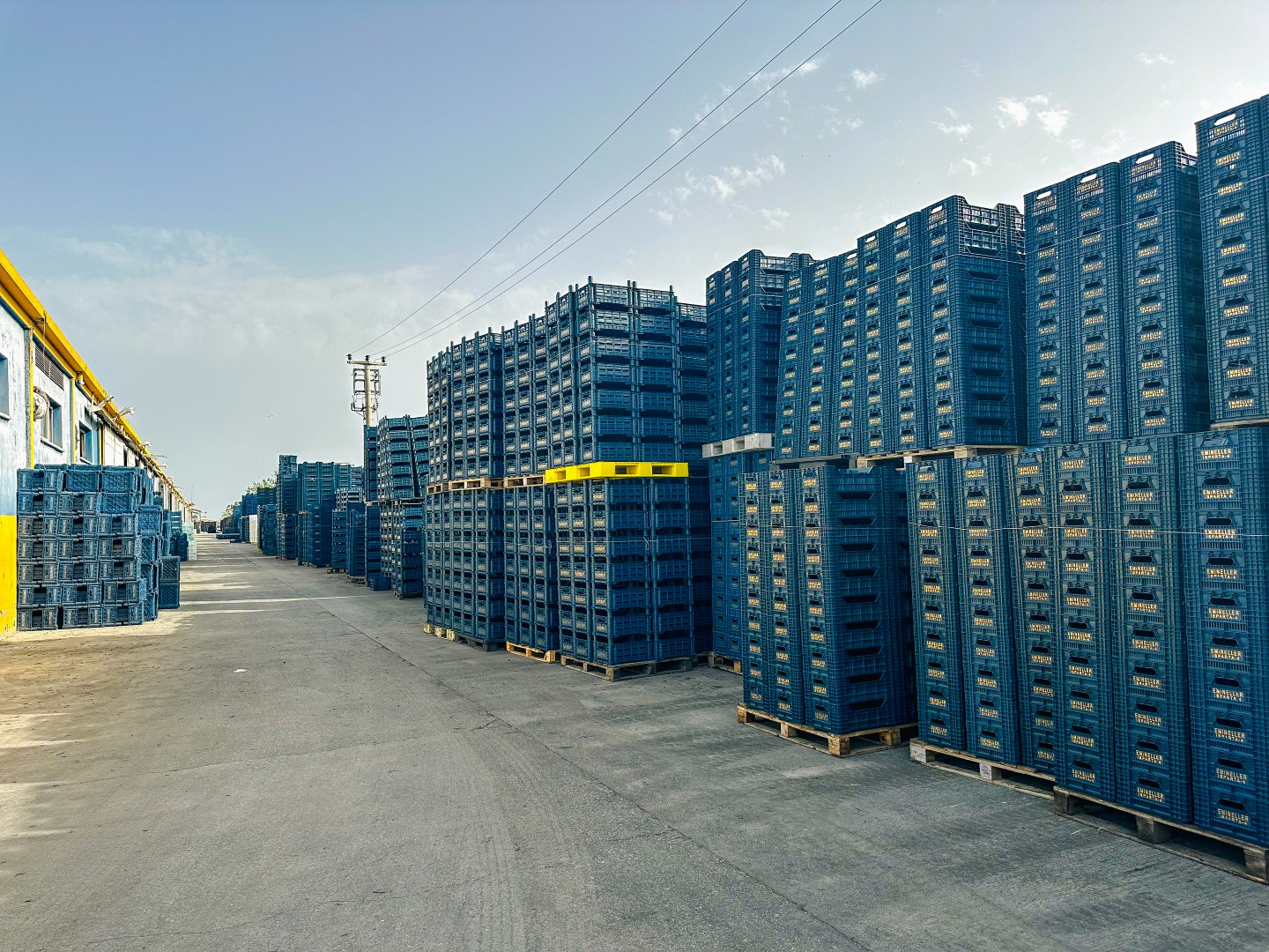 Plastik Kasa Fabrikası